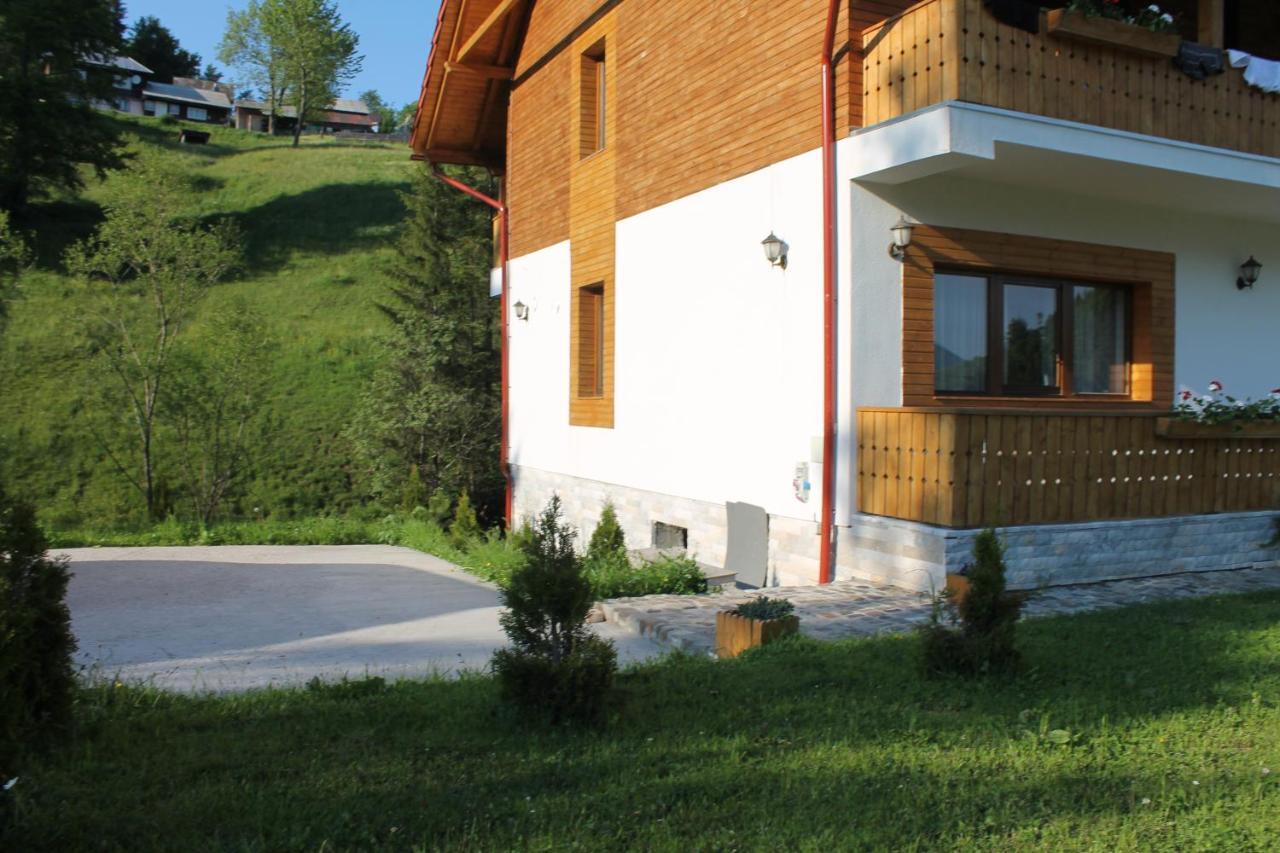 Arnica Montana Hotel Arieşeni Buitenkant foto