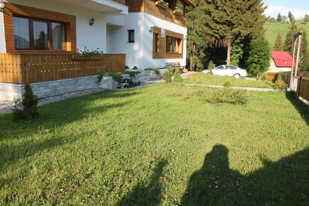 Arnica Montana Hotel Arieşeni Buitenkant foto