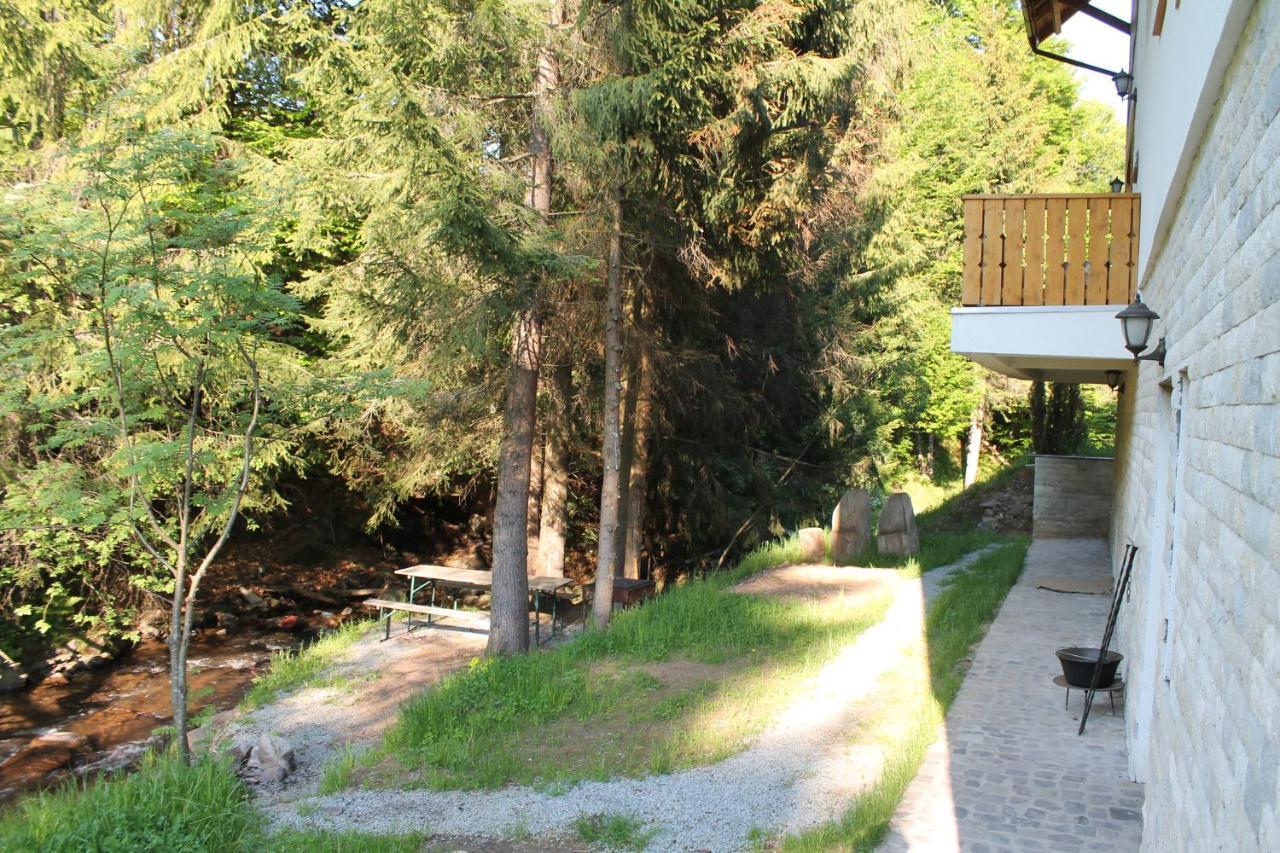 Arnica Montana Hotel Arieşeni Buitenkant foto