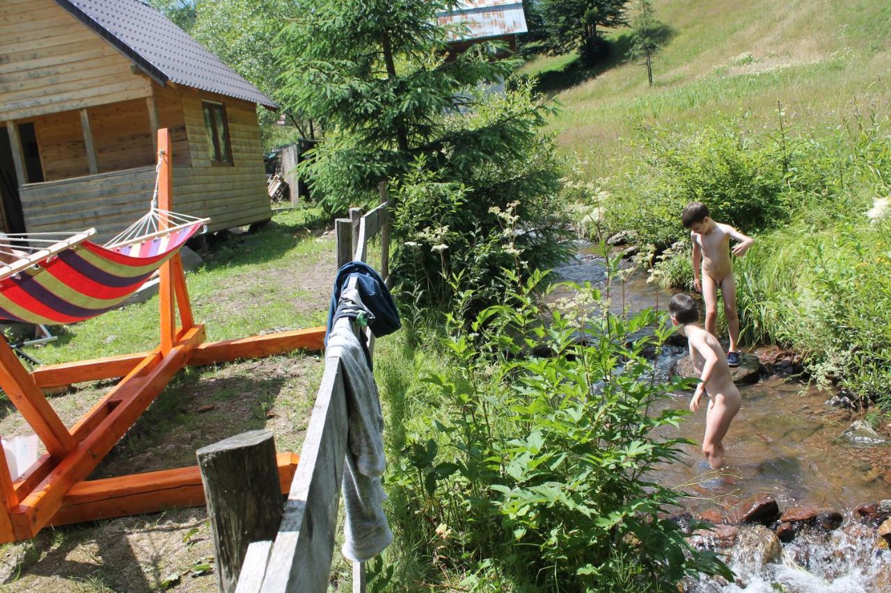 Arnica Montana Hotel Arieşeni Buitenkant foto