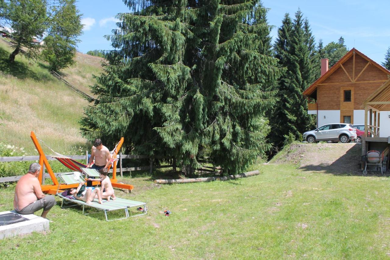 Arnica Montana Hotel Arieşeni Buitenkant foto