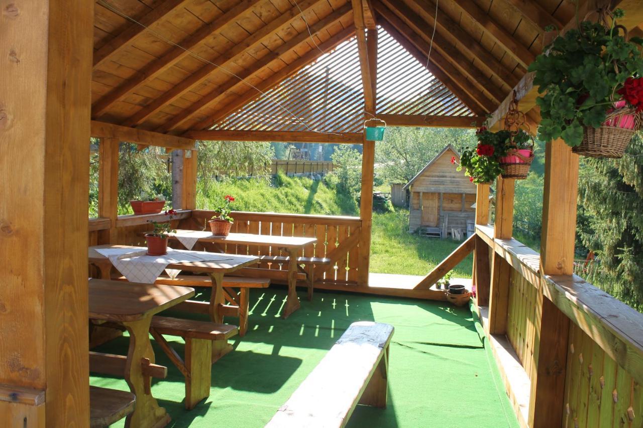 Arnica Montana Hotel Arieşeni Buitenkant foto